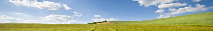 headerphoto